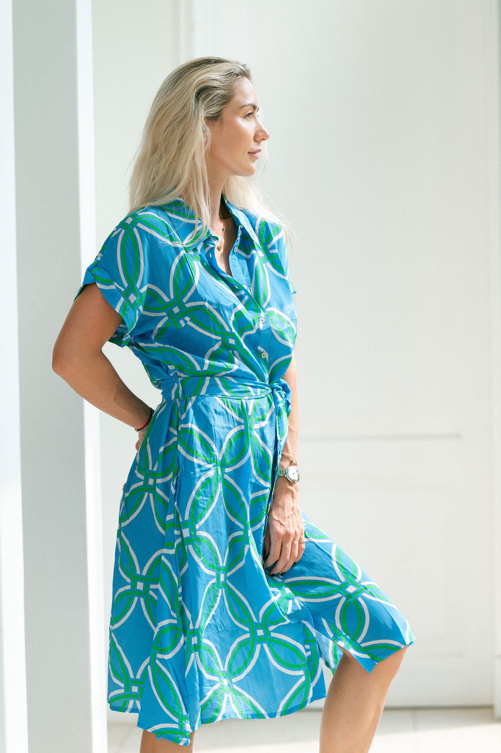 HAVANA ASH DRESS / BLUE TRELLACE